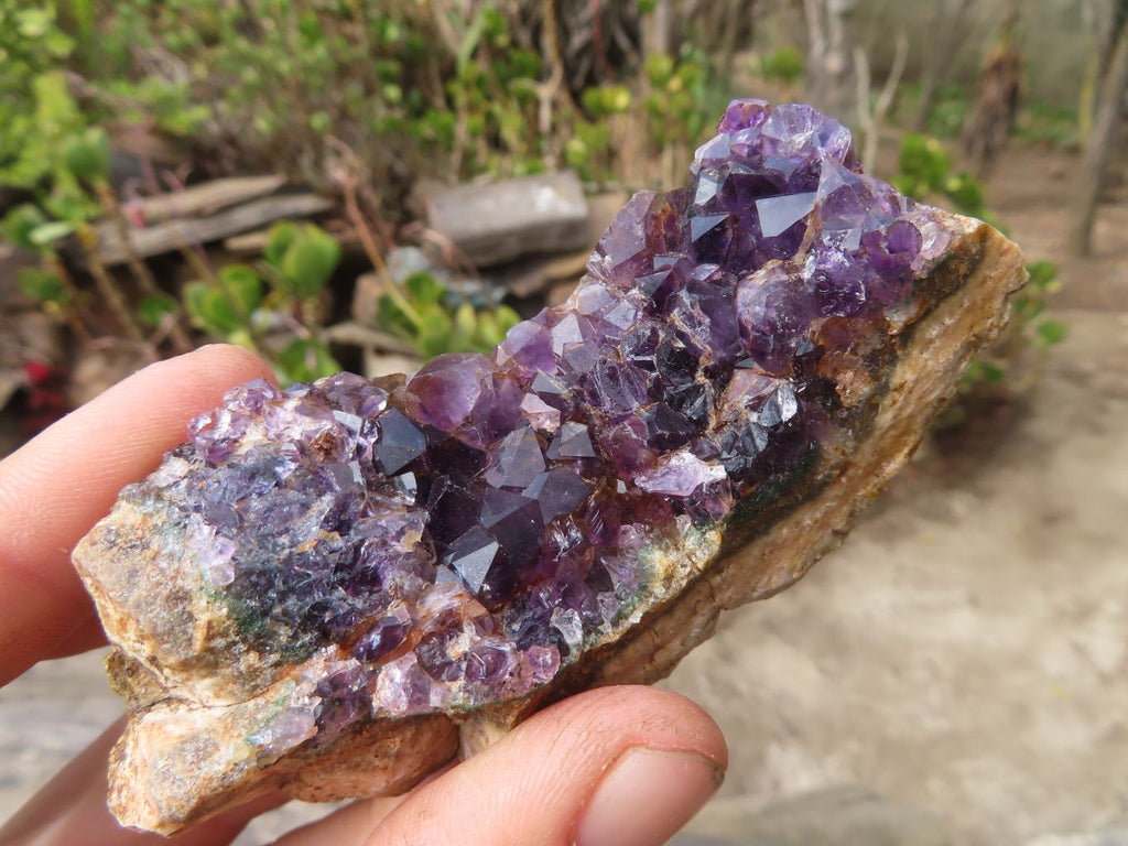 Natural Dark Amethyst Clusters x 15 From Zululand, South Africa - Toprock Gemstones and Minerals 