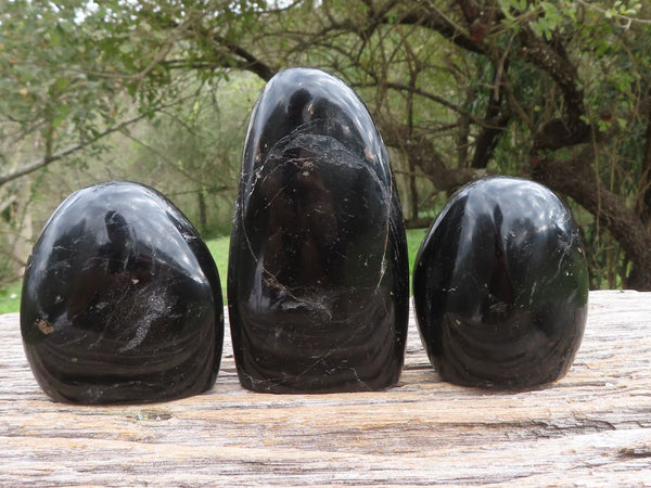 Polished Trio Of Schorl Black Tourmaline Standing Free Forms  x 3 From Madagascar - TopRock