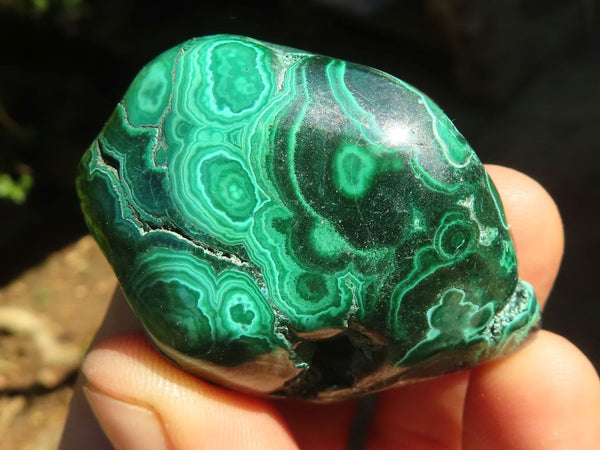 Polished Flower & Banded Malachite Free Forms  x 12 From Congo - Toprock Gemstones and Minerals 