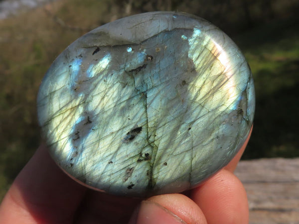 Polished Flashy Blue & Gold Labradorite Palm Stones x 20 From Tulear, Madagascar - TopRock