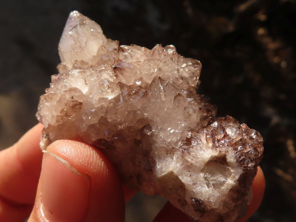 Natural Small Mixed Spirit Quartz Clusters x 38 From Boekenhouthoek, South Africa - Toprock Gemstones and Minerals 
