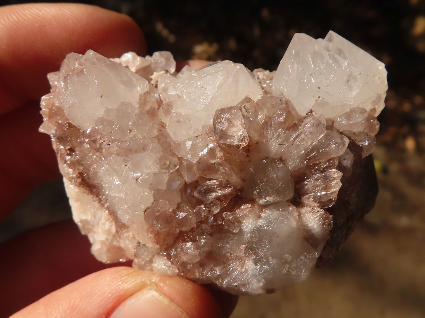 Natural Small Mixed Spirit Quartz Clusters x 38 From Boekenhouthoek, South Africa - Toprock Gemstones and Minerals 