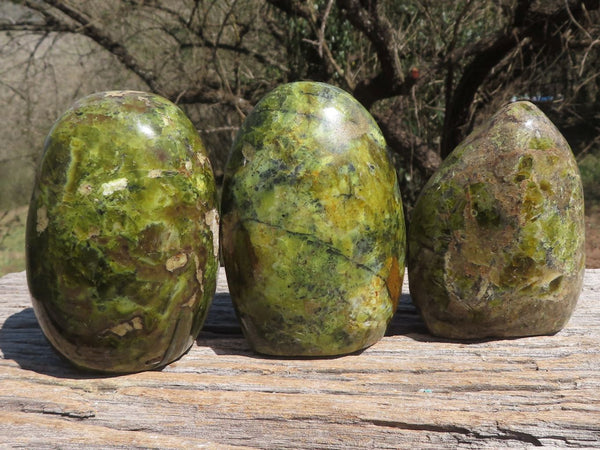 Polished Dark Stunning Green Opal Standing Free Forms  x 3 From Antsirabe, Madagascar - TopRock
