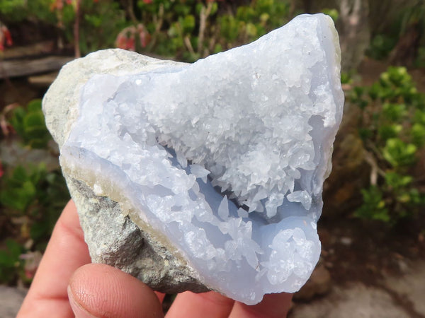 Natural Blue Lace Agate Geode Specimens  x 12 From Nsanje, Malawi