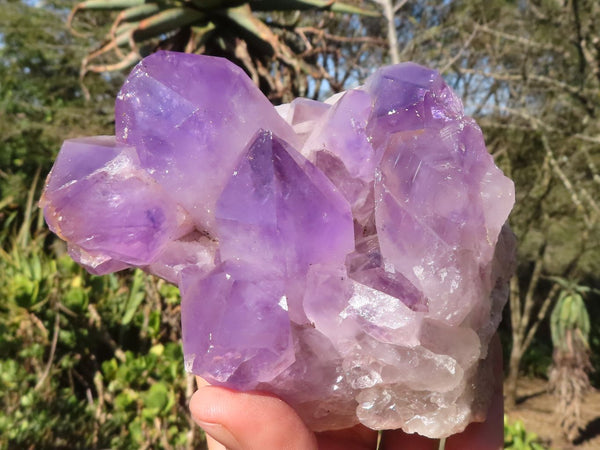 Natural Gorgeous Jacaranda Amethyst Clusters  x 2 From Zambia - Toprock Gemstones and Minerals 