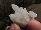 Natural Selection Of Small Smokey-White Spirit Quartz Clusters  x 63 From Boekenhouthoek, South Africa - TopRock