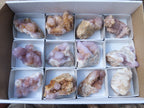 Natural Spirit Quartz Clusters x 12 From Boekenhouthoek, South Africa - Toprock Gemstones and Minerals 