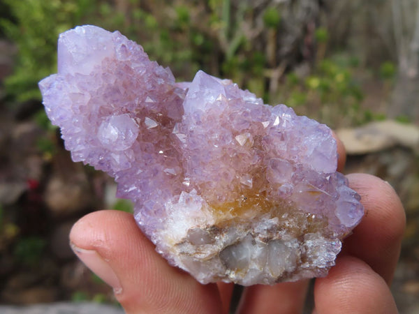 Natural Spirit Quartz Clusters x 12 From Boekenhouthoek, South Africa - Toprock Gemstones and Minerals 