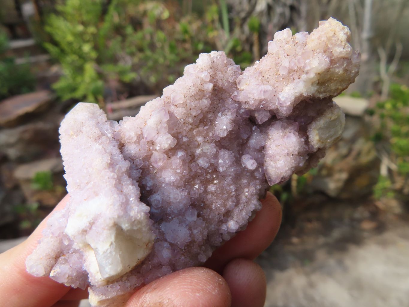 Natural Spirit Quartz Clusters x 12 From Boekenhouthoek, South Africa - Toprock Gemstones and Minerals 