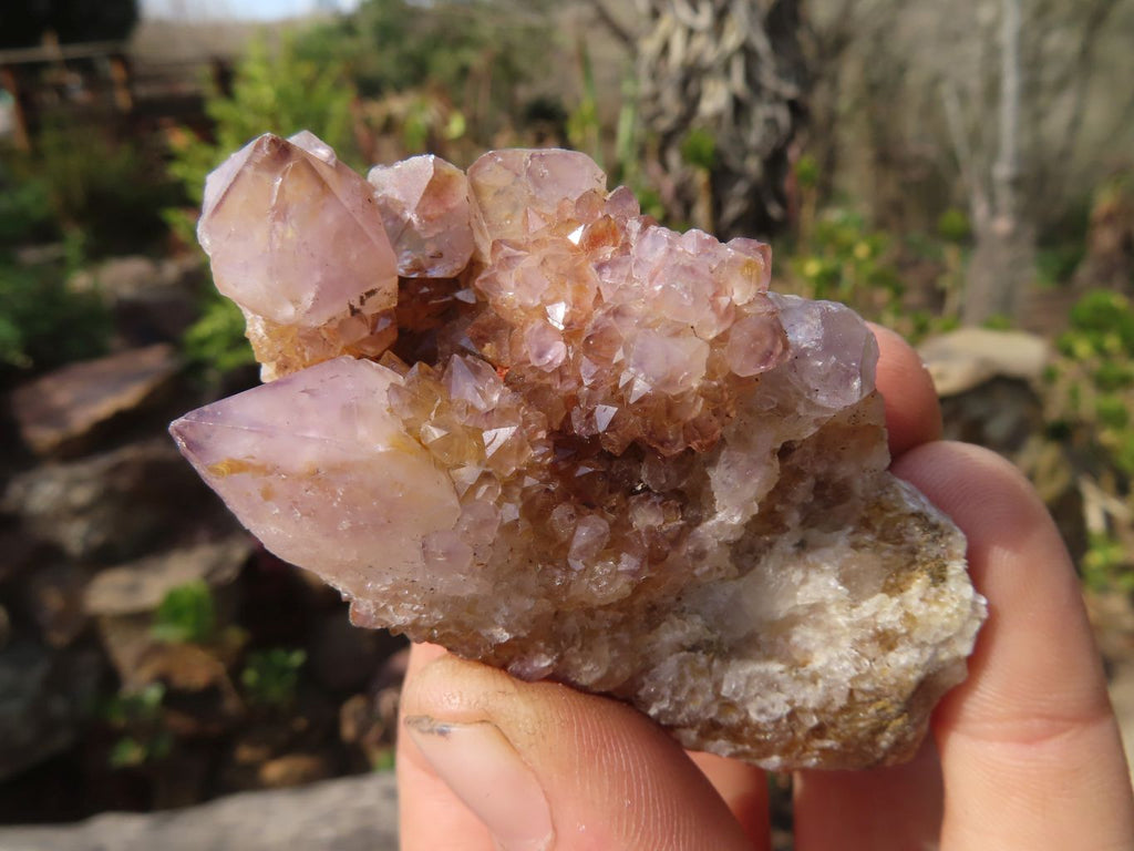 Natural Spirit Quartz Clusters x 12 From Boekenhouthoek, South Africa - Toprock Gemstones and Minerals 