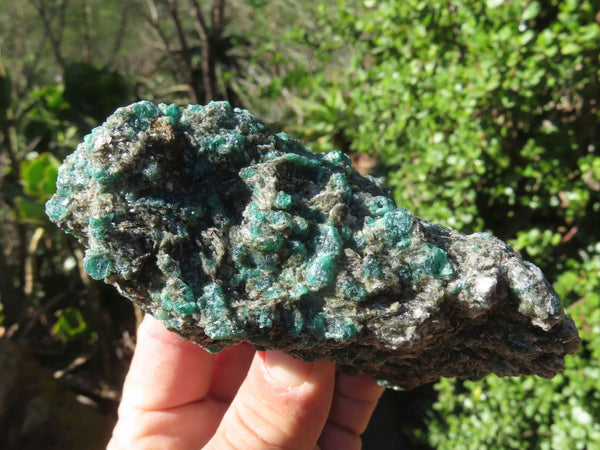 Natural Emeralds In Matrix x 3 From Sandawana, Zimbabwe - TopRock