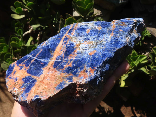 Polished Large Stunning Blue and White Sodalite Slab  x 1 From Namibia - TopRock