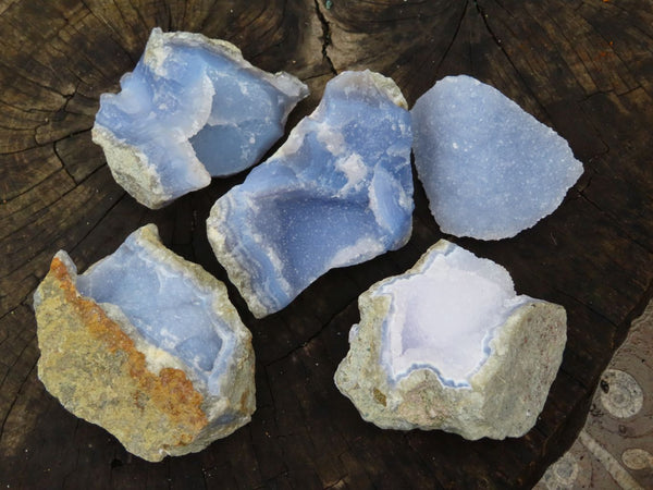 Natural Blue Lace Agate Geodes x 5 From Malawi - TopRock