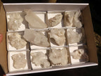 Natural Clear Quartz Crystals & Clusters  x 12 From Zambia - Toprock Gemstones and Minerals 
