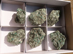 Natural Rare Emerald Mica In Matrix Cobbed Specimens x 6 From Mutoko, Zimbabwe - Toprock Gemstones and Minerals 