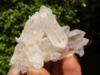 Natural Clear Quartz Crystals & Clusters  x 12 From Zambia - Toprock Gemstones and Minerals 