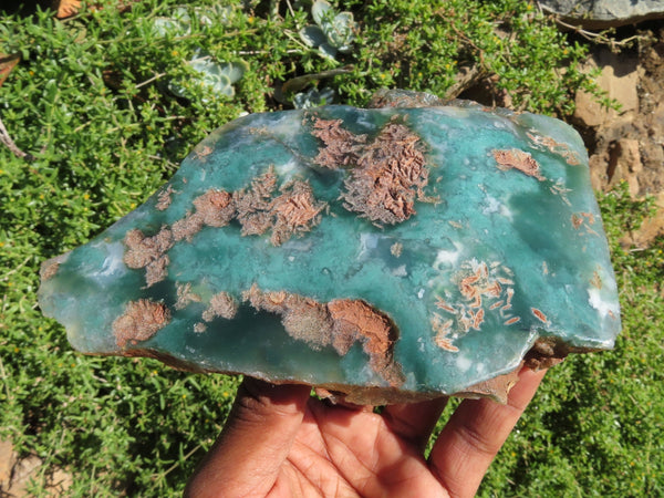 Polished  One Side Mtorolite Slices x 3 From Mutorashanga, Zimbabwe - TopRock