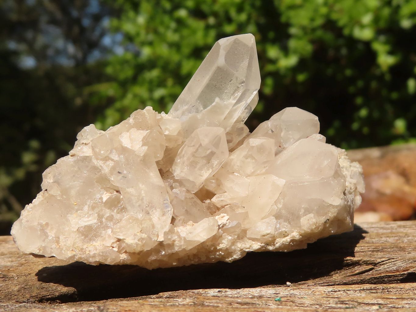 Natural Clear Quartz Crystals & Clusters  x 12 From Zambia - Toprock Gemstones and Minerals 