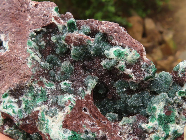 Natural Rare Ball Malachite On Quartz & Dolomite Specimens  x 3 From Kambove, Congo - Toprock Gemstones and Minerals 