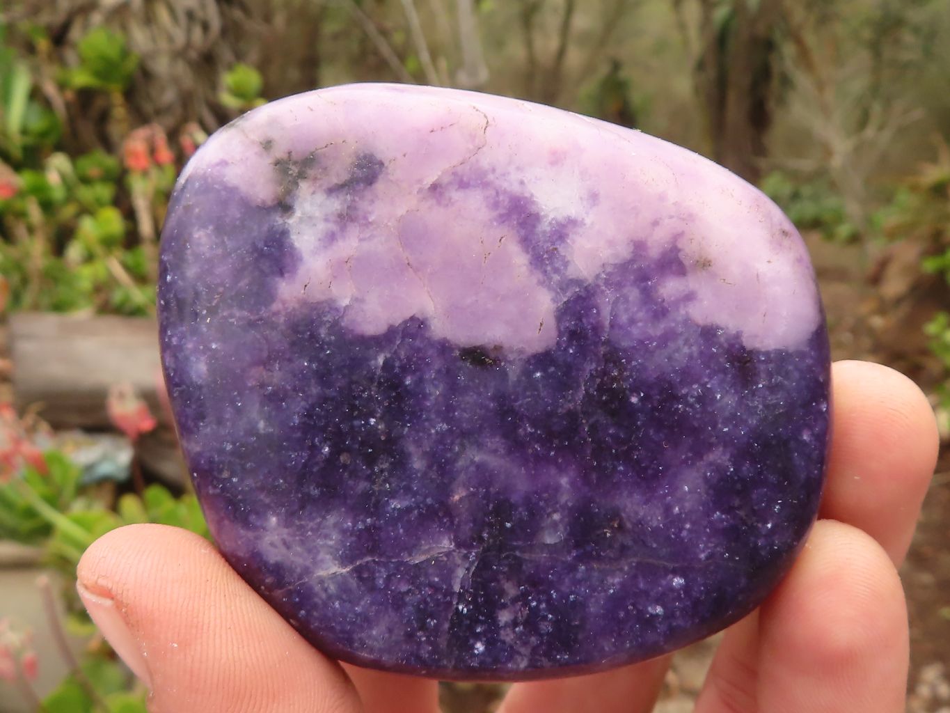 Polished Purple Lepidolite Free Forms  x 6 From Zimbabwe - Toprock Gemstones and Minerals 