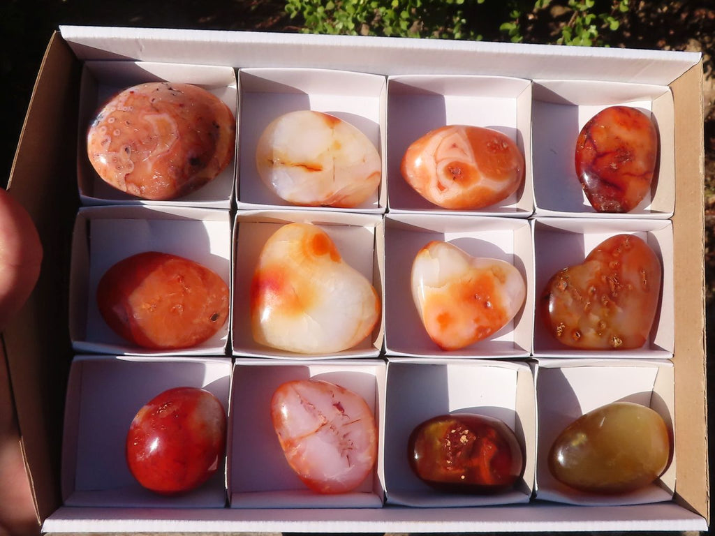 Polished Carnelian Agate Hearts & Palm Stones  x 12 From Madagascar - Toprock Gemstones and Minerals 