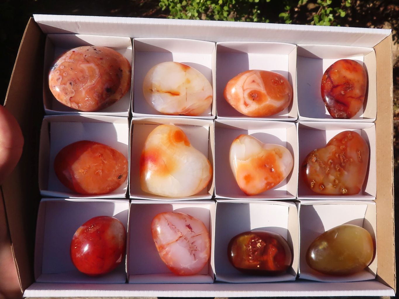 Polished Carnelian Agate Hearts & Palm Stones  x 12 From Madagascar - Toprock Gemstones and Minerals 