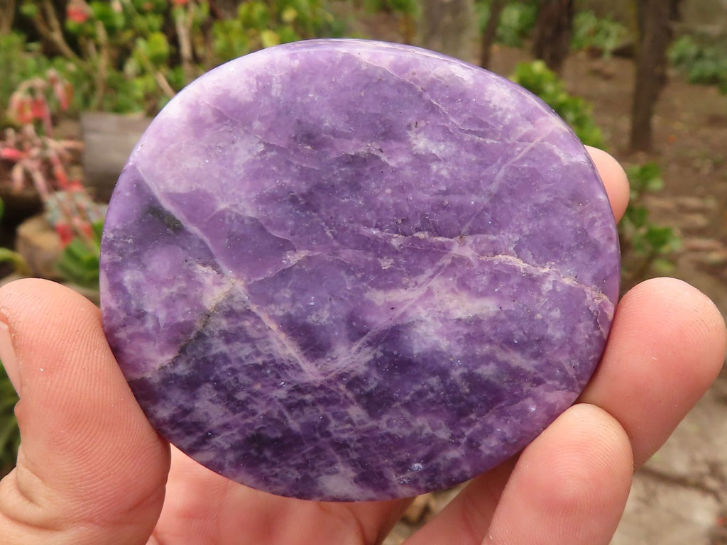 Polished Purple Lepidolite Free Forms  x 6 From Zimbabwe - Toprock Gemstones and Minerals 