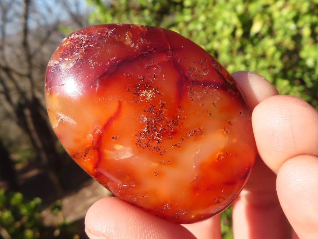 Polished Carnelian Agate Hearts & Palm Stones  x 12 From Madagascar - Toprock Gemstones and Minerals 