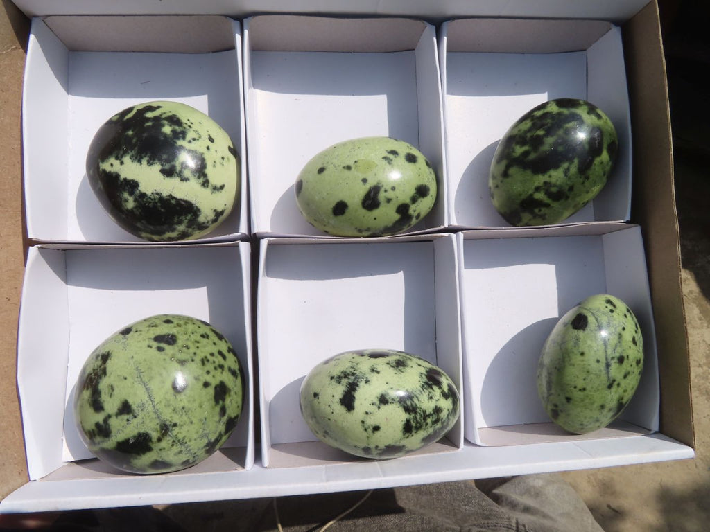 Polished Leopard stone Gallets  x 6 From Zimbabwe - Toprock Gemstones and Minerals 