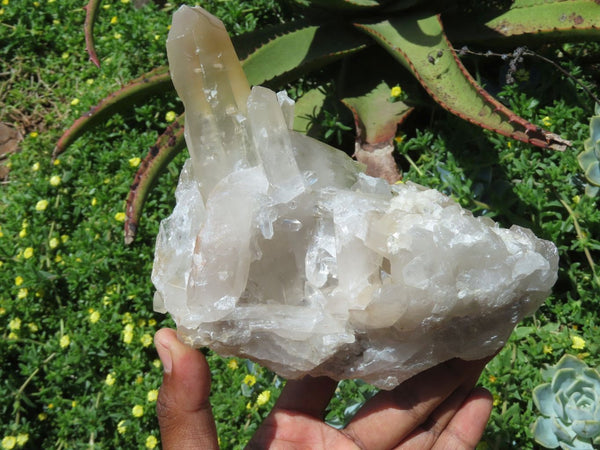 Natural Caramel / Hematoid Quartz Crystal Clusters x 2 From Madagascar - TopRock