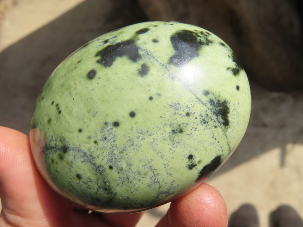 Polished Leopard stone Gallets  x 6 From Zimbabwe - Toprock Gemstones and Minerals 