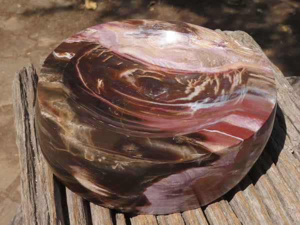 Polished Petrified Red Podocarpus Wood Bowl x 1 From Mahajanga, Madagascar - TopRock