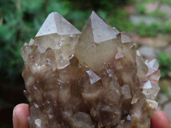 Natural Smokey Phantom Quartz Clusters x 2 From Lwena, Congo - TopRock