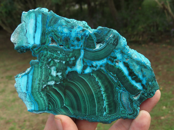 Polished Banded Malachite Slices With Chrysocolla Edging x 5 From Congo - TopRock