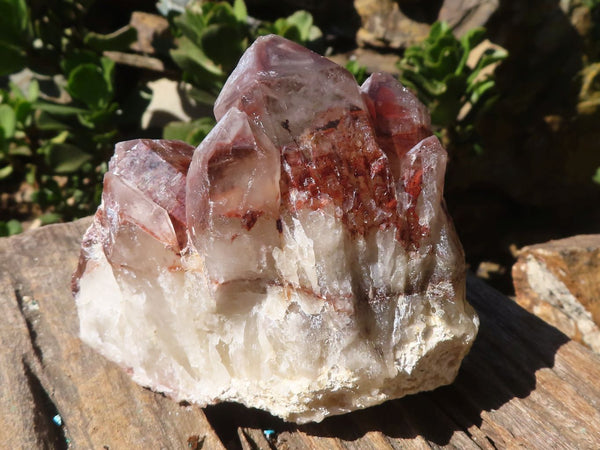 Natural Red Hematoid Phantom Quartz Crystals  x 2 From Karoi, Zimbabwe