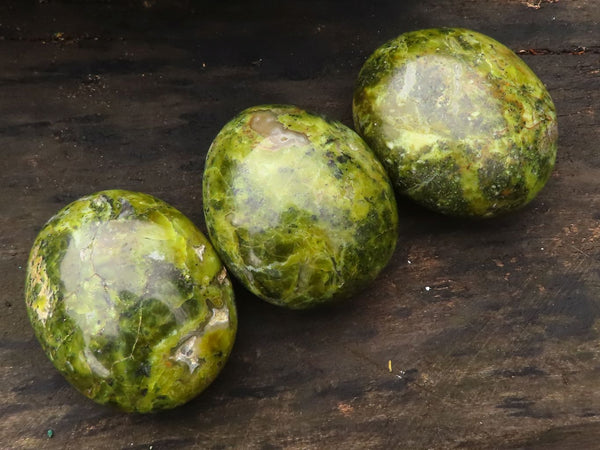 Polished Extra Large Green Opal Palm Stones  x 6 From Antsirabe, Madagascar