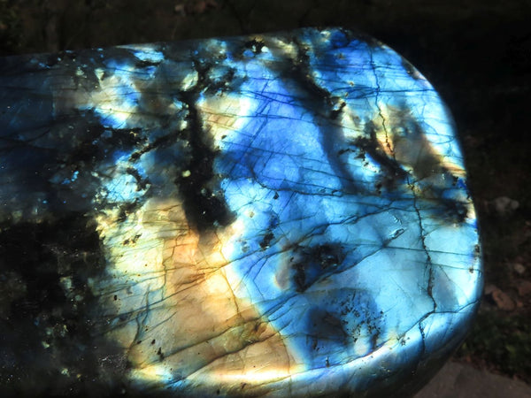 Polished Blue Labradorite Standing Free Forms With Intense Full Face Flash x 2 From Tulear, Madagascar - TopRock