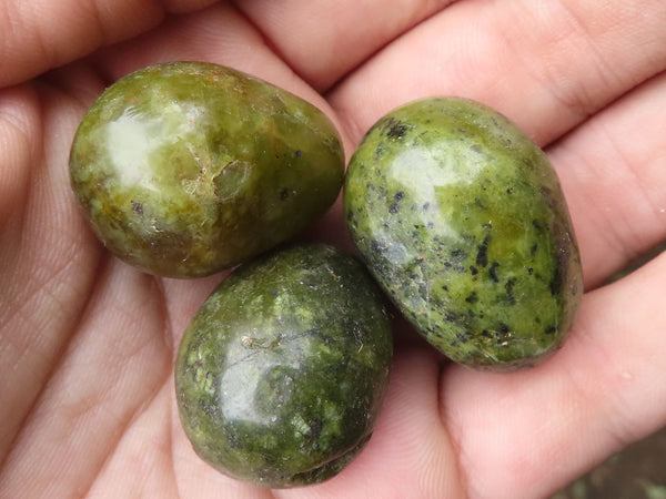 Polished Mini Green Opal Eggs  x 40 From Madagascar - TopRock