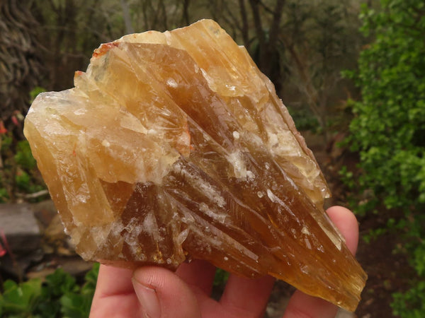 Natural Honey Aragonite Etched & Cobbed Pieces  x 6 From Namibia - Toprock Gemstones and Minerals 