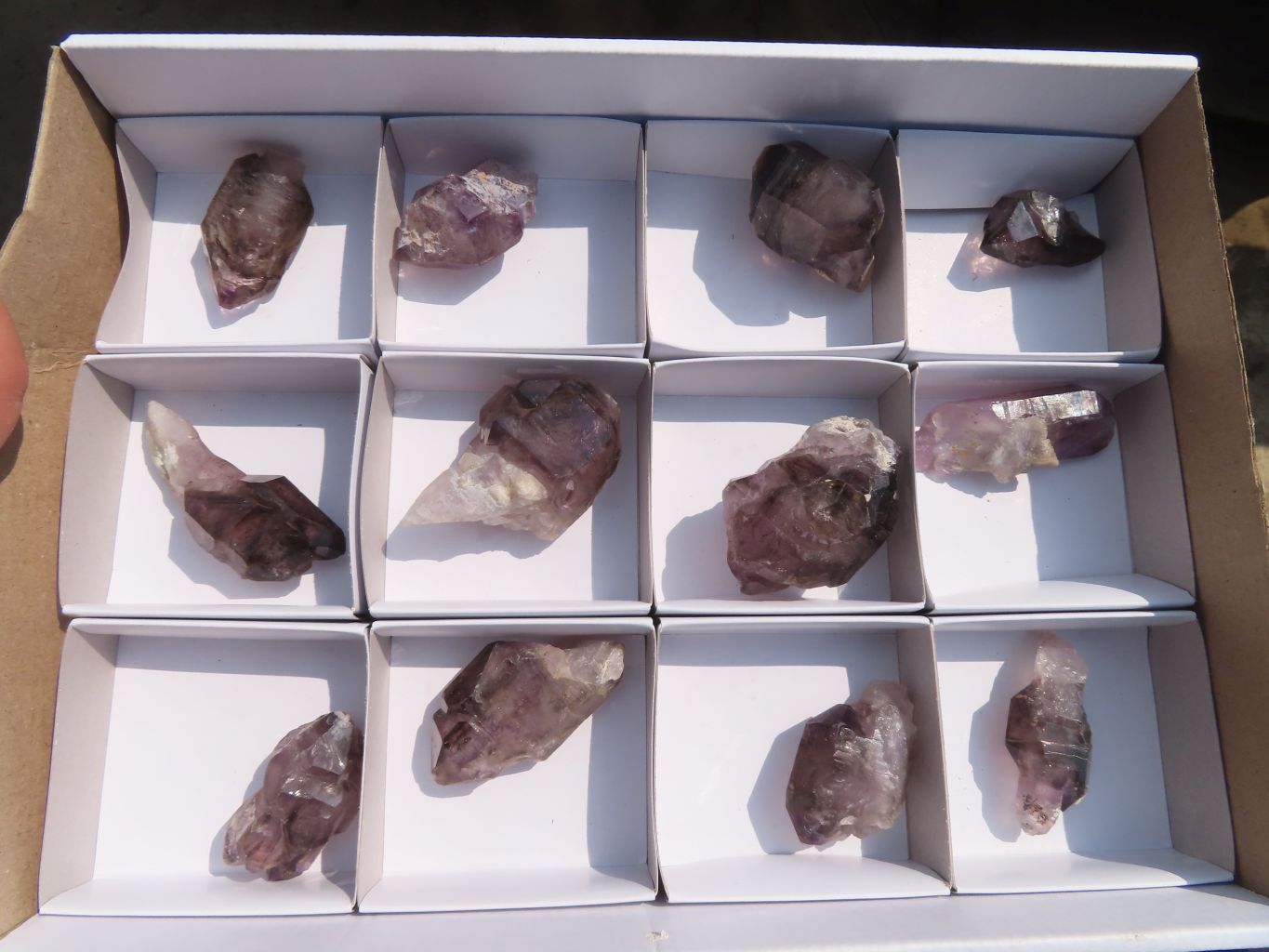 Natural Window Amethyst Crystals  x 12 From Chiredzi, Zimbabwe - Toprock Gemstones and Minerals 