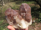 Natural Red Hematoid Phantom Quartz Clusters  x 4 From Karoi, Zimbabwe - TopRock