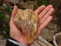 Natural Honey Aragonite Etched & Cobbed Pieces  x 6 From Namibia - Toprock Gemstones and Minerals 