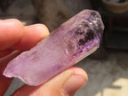 Natural Window Amethyst Crystals  x 12 From Chiredzi, Zimbabwe - Toprock Gemstones and Minerals 