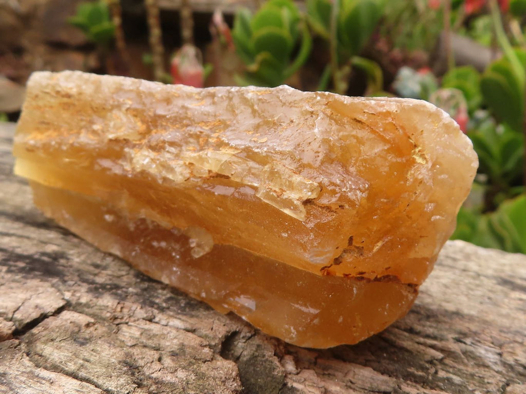 Natural Honey Aragonite Etched & Cobbed Pieces  x 6 From Namibia - Toprock Gemstones and Minerals 