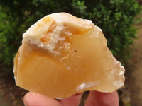 Natural Honey Aragonite Etched & Cobbed Pieces  x 6 From Namibia - Toprock Gemstones and Minerals 