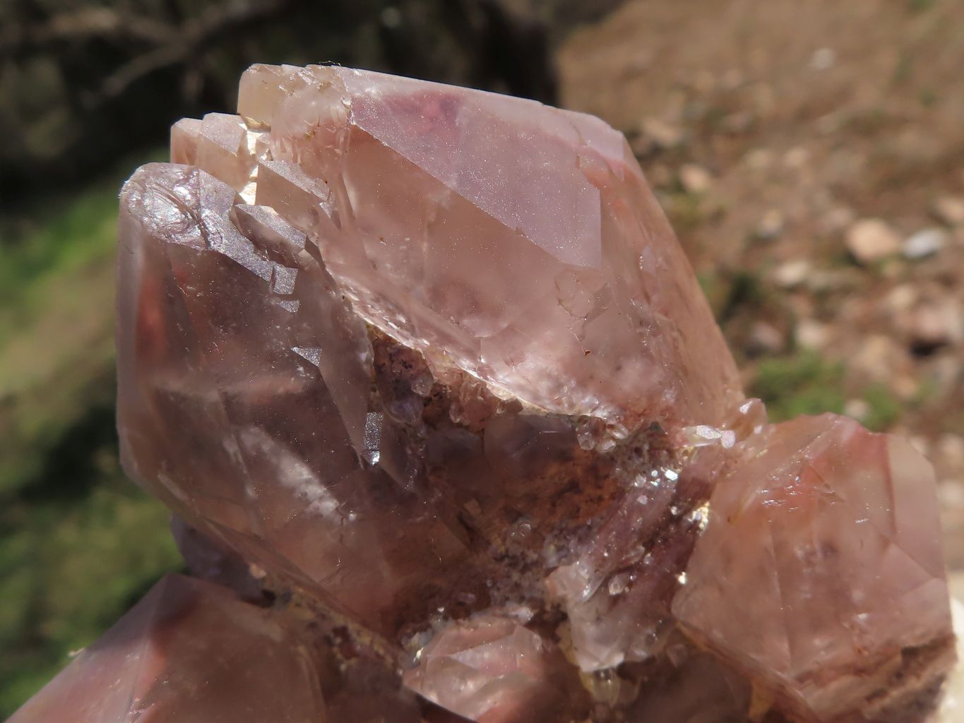 Natural Red Hematoid Phantom Quartz Clusters  x 4 From Karoi, Zimbabwe - TopRock