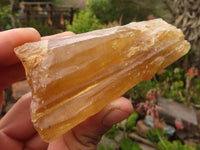 Natural Honey Aragonite Etched & Cobbed Pieces  x 6 From Namibia - Toprock Gemstones and Minerals 