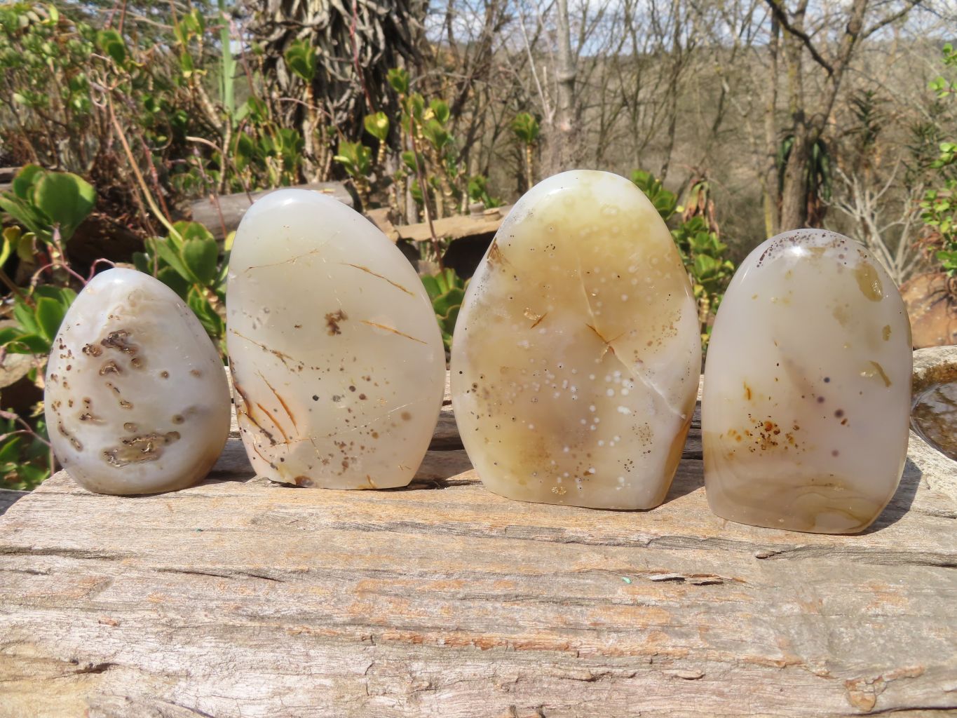 Polished Dendritic Agate Standing Free Forms  x 4 From Moralambo, Madagascar - Toprock Gemstones and Minerals 