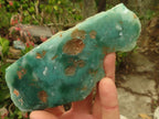 Polished One Side Polished Emerald Mtorolite Plates  x 6 From Zimbabwe - Toprock Gemstones and Minerals 