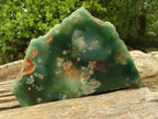 Polished One Side Polished Emerald Mtorolite Plates  x 6 From Zimbabwe - Toprock Gemstones and Minerals 